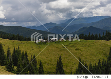 View of Kukul in the Carpathians with meadows and forests in Ukraine View of Kukul in the Carpathians with meadows and forests in Ukraine 142060071