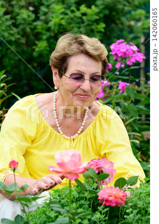 Smiling 80 years old Russian senior woman looks at blooming rose flowers at rural garden. 142060165