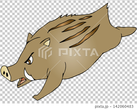 Hand-drawn animal illustration ☆ Wild boar Hand-drawn animal illustration ☆ Wild boar 142060483