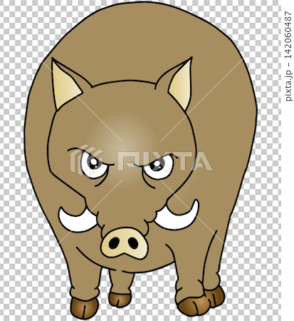 Hand-drawn animal illustration ☆ Wild boar Hand-drawn animal illustration ☆ Wild boar 142060487