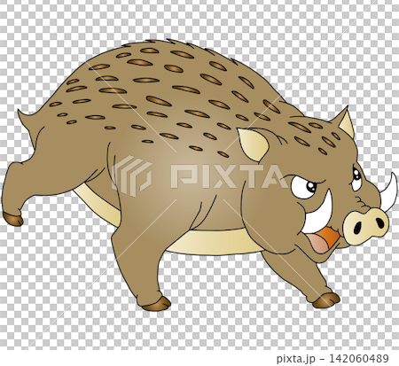 手書き動物イラスト☆イノシシ 手書き動物イラスト☆イノシシ 142060489