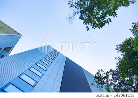 Low angle view of modern office building facade with tree branches and copy space in Fukuoka, Japan Low angle view of modern office building facade with tree branches and copy space in Fukuoka, Japan 142061219