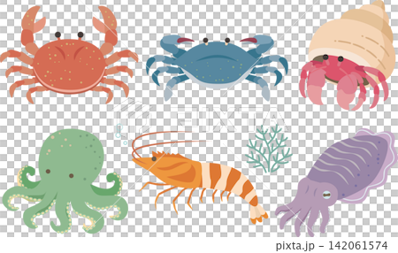海洋生物插圖集 海洋生物插圖集 142061574