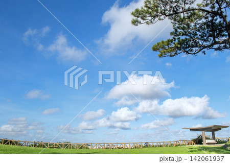 自然豊かな浦添城跡 浦添大公園 自然豊かな浦添城跡 浦添大公園 142061937