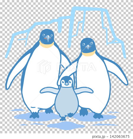 皇帝ペンギンの親子のイラスト 142063675