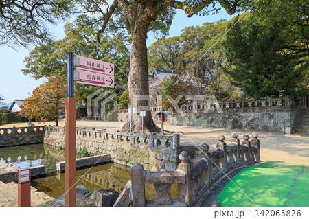 佐賀県小城市の小城公園にある岡山神社参道と鳥居 佐賀県小城市の小城公園にある岡山神社参道と鳥居 142063826