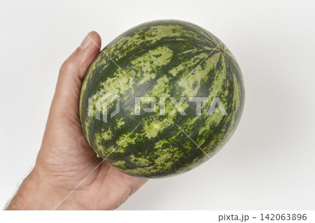Small whole striped watermelon in a male hand close up Small whole striped watermelon in a male hand close up 142063896