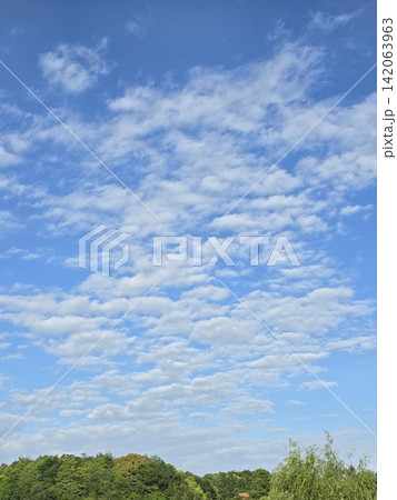 夏の青空と白い雲 142063963