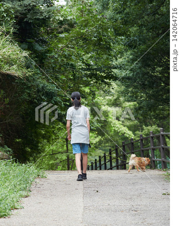 真夏の公園で可愛いポメラニアンの子犬を連れて散歩する夏休み中の女子学生の姿 真夏の公園で可愛いポメラニアンの子犬を連れて散歩する夏休み中の女子学生の姿 142064716