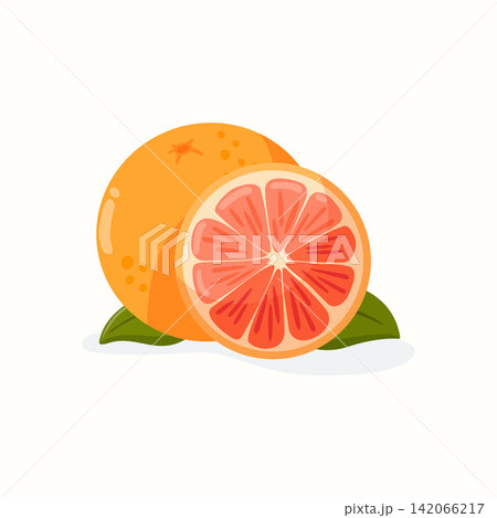 Blood orange vector illustration with whole and half fruit Blood orange vector illustration with whole and half fruit 142066217