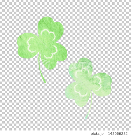 Watercolor style illustration of trefoil clover Watercolor style illustration of trefoil clover 142066282