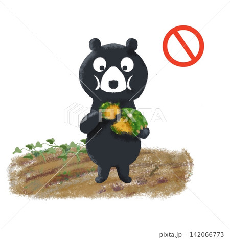 カボチャを食べるクマのイラスト 危険マークつき カボチャを食べるクマのイラスト 危険マークつき 142066773