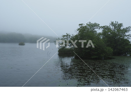 霧の大沼公園 霧の大沼公園 142067463