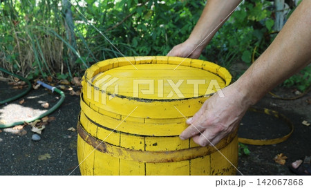 Men's hands close or open the lid of a wooden barrel, painted bright yellow. The container is held together with hoops and stands outside against a backdrop of green garden grass, leaves, and a hose. 142067868