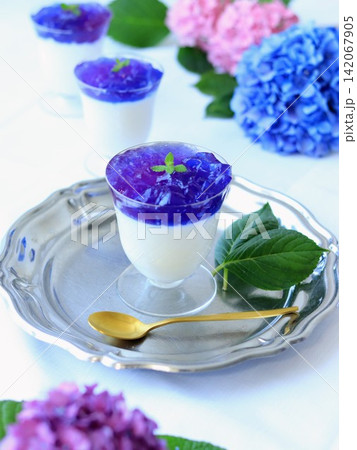 紫陽花ゼリー 紫陽花ゼリー 142067905