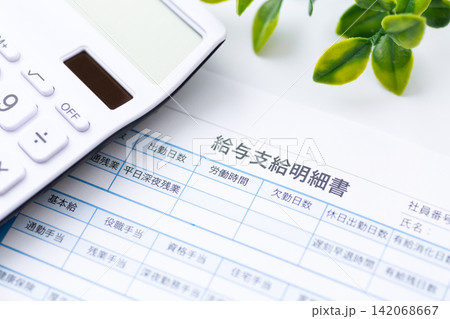 給与支給明細書 給与支給明細書 142068667