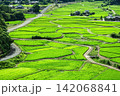 田染荘の風景 142068841
