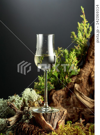 Gin or herbal bitter set among juniper branches, weathered driftwood and forest moss. 142069314