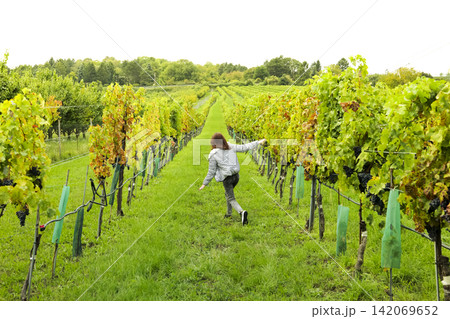 Young woman running through vineyard rows, illustrating outdoor activity and a rural wine area lifestyle in a scenic setting. Young woman running through vineyard rows, illustrating outdoor activity and a rural wine area lifestyle in a scenic setting. 142069652
