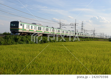 田園風景を走る普通列車 田園風景を走る普通列車 142070398