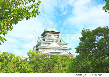 大阪府大阪市、大阪城の風景 大阪府大阪市、大阪城の風景 142070499