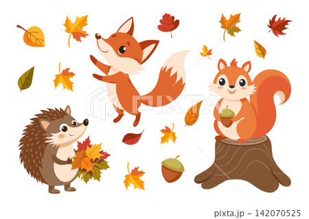 Autumn set of cute animals. Fox, hedgehog, squirrel with acorn, maple leaves. Illustration. Autumn set of cute animals. Fox, hedgehog, squirrel with acorn, maple leaves. Illustration. 142070525