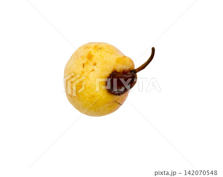 Rotten pear on a white background. Rotten pear on a white background. 142070548