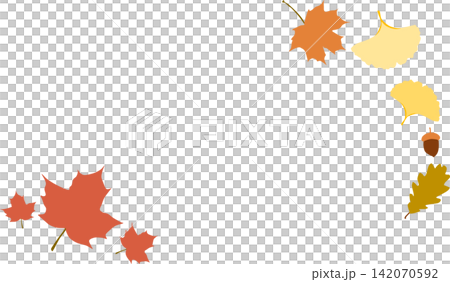Illustration of fallen leaves in autumn 142070592