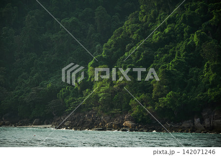 natural freshness scene of some part of an island with many green trees and rocky shore and sea in a shade and light from sunshine 142071246