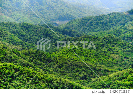 freshness green scenery mountain valley in day light in sunny season 142071837