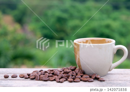 vintage country style coffee mug put on wooden table with roasted coffee beans in blurred natural green background vintage country style coffee mug put on wooden table with roasted coffee beans in blurred natural green background 142071838