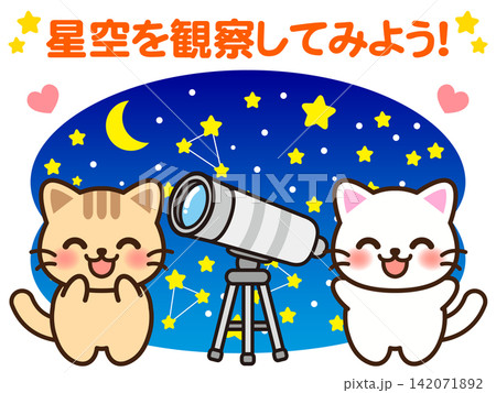 天体観測する猫のイラスト素材 天体観測する猫のイラスト素材 142071892