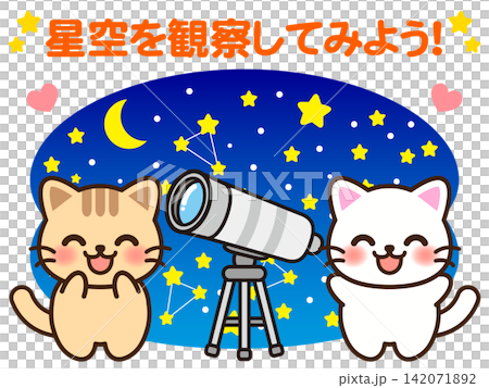 天体観測する猫のイラスト素材 天体観測する猫のイラスト素材 142071892