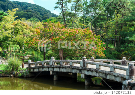 夏の円山公園 ひょうたん池の石橋 夏の円山公園 ひょうたん池の石橋 142072132