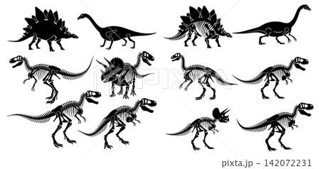Collection of dinosaur silhouettes and detailed skeletal remains for scientific illustration or educational museum displays Collection of dinosaur silhouettes and detailed skeletal remains for scientific illustration or educational museum displays 142072231