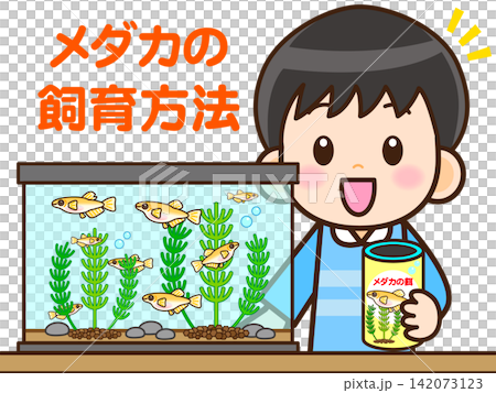 Illustration of a boy observing killifish (3) Illustration of a boy observing killifish (3) 142073123