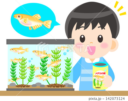 メダカの観察をする男の子のイラスト素材2 メダカの観察をする男の子のイラスト素材2 142073124