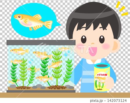 メダカの観察をする男の子のイラスト素材2 メダカの観察をする男の子のイラスト素材2 142073124