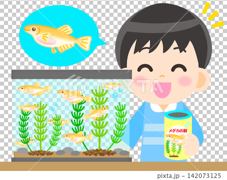 Illustration of a boy observing killifish Illustration of a boy observing killifish 142073125