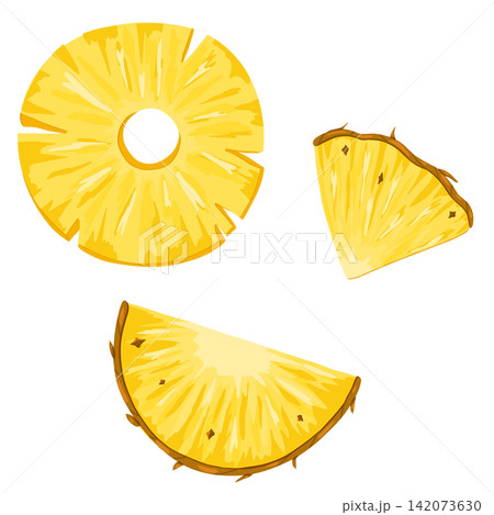 Pineapple vector set. Hand drawn cartoon illustration of half, circle and slice of ananas. Tropical print design for menu, summer party, stickers, beauty products, food on white background Pineapple vector set. Hand drawn cartoon illustration of half, circle and slice of ananas. Tropical print design for menu, summer party, stickers, beauty products, food on white background 142073630