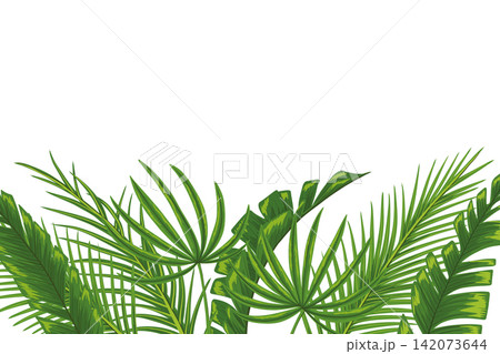Tropical horizontal frame with palm leaves for party invitations, sale posters, banner and wedding cards. Hand drawn illustration with a text place. Elements are not cropped 142073644