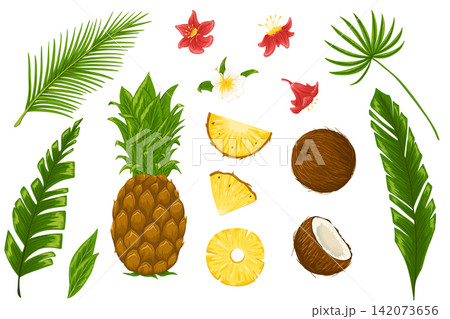 Tropical fruits and leaves vector set. Hand drawn cartoon illustrations of whole and chopped pineapple, coconut, palm leaves, exotic flowers. Graphic print for menu, stickers, beauty products, package 142073656
