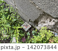 赤い矢印表示のあるコンクリート製境界杭 142073844