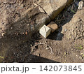 矢印表示のあるコンクリート製境界杭 142073845