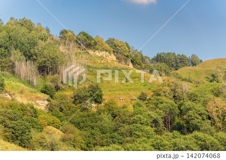 Summer Mountains Landscape with Green forest. Summer Mountains Landscape with Green forest. 142074068