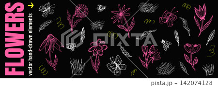 Hand drawn floral daisy and tulip doodle with chalk sketch line. Pink flower outline with white bee and poppy scribble for greeting card. Vector chalk drawing set isolated on black background 142074128