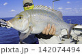 ルアーで釣れたタマン 142074494