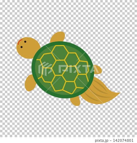 Turtle auspicious illustration | Longevity, happiness, celebration, Japanese style material Turtle auspicious illustration | Longevity, happiness, celebration, Japanese style material 142074801