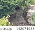 小川のある風景 142074988