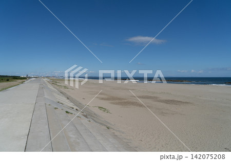 宮城県仙台市若林区荒浜　荒浜地区の防潮堤 142075208